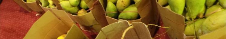 الدول الأوروبية والعربية تستودر المانجو والشمام والبامية والفاصوليا من السودان 10 مانجو سوداني