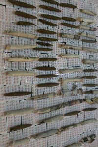 بالصور .. المباحث الفدرالية السودانية تضبط شبكة إجرامية تخصصت في ترويج الحشيش والحبوب المخدرة 3 18718420 10209106593761893 732921444 n