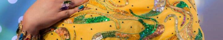 سلمى سيد : الشروق رفضت عرض برنامجي هذا العام بسبب (توجيهات عليا).! 10 سلمي سيد