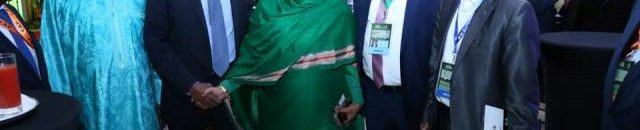 اميرة الفاضل