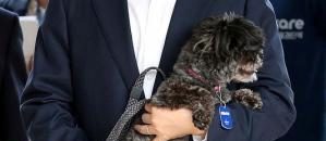 كوريا الجنوبية ونهاية مصداقية أميركا 10 توري