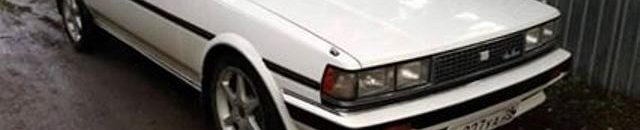 كريسيدا عربة لها وقع خاص ومحبة في نفوس الكثير من السودانيين 10 كريسيدا