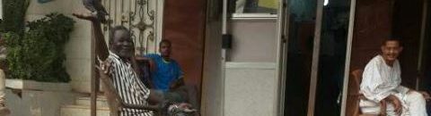 الحمام يأكل على يد رجل سوداني بإطمئنان في العاصمة الخرطوم 10 حمام سوداني