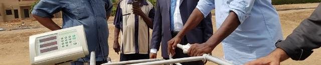 منظمة الدعوة توزع اضاحي بقيمة 3مليون دولار 10 خروف وزن