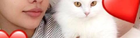 الحسناء لوشي تنشر صور تجمعها مع كديستها وعشرات المتابعين يحكوا تجاربهم في تربية القطط.. صور 12 كديسة لوشي