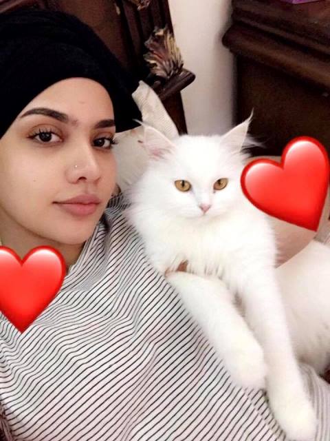الحسناء لوشي تنشر صور تجمعها مع كديستها وعشرات المتابعين يحكوا تجاربهم في تربية القطط.. صور 1 كديسة لوشي