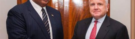 غندور سيلفين