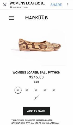 22007804 929730063852319 9025010314420188358 n