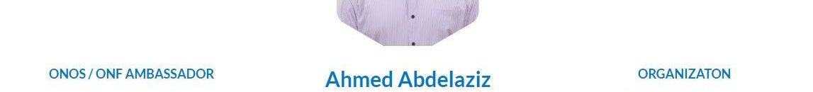 مهندس سوداني