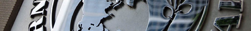 صندوق النقد الدولى