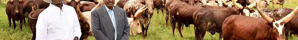 ضياء الدين بلال: مع الرئيس البشير في مزرعة موسيفيني 10 البشير موسيفيني1