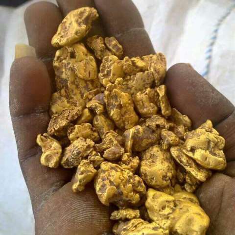 المواصفات بنهر النيل تعلن عن فحص وختم أكثر من 5 أطنان من الذهب خلال العام الحالي 3 الذهب 1