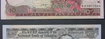 انخفاض سعر البر أمام الدولار وآثاره الاقتصادية على إثيوبيا.. تطور تجارة السوق السوداء للعملة بصورة كبيرة 11 بر اثيوبي