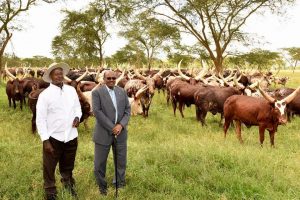 البشير موسيفيني1