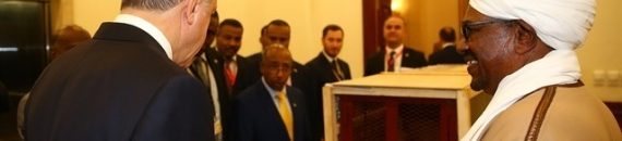 أهداها من قبل لملك الأردن.. هدية البشير الغريبة إلى أردوغان تثير جماهير الكرة التركية 11 اردوغان اسد