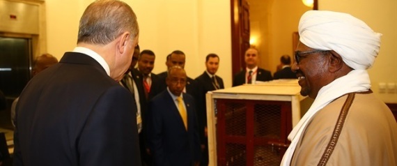 أهداها من قبل لملك الأردن.. هدية البشير الغريبة إلى أردوغان تثير جماهير الكرة التركية 1 اردوغان اسد