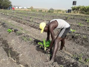 الشركات الاسرائيلية تشارك المجتمعات المحلية في تطوير الزراعة بدولة جنوب السودان 2 ج