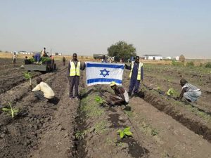 الشركات الاسرائيلية تشارك المجتمعات المحلية في تطوير الزراعة بدولة جنوب السودان 4 ج2