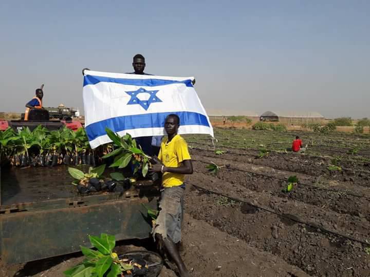 الشركات الاسرائيلية تشارك المجتمعات المحلية في تطوير الزراعة بدولة جنوب السودان 1 ج3
