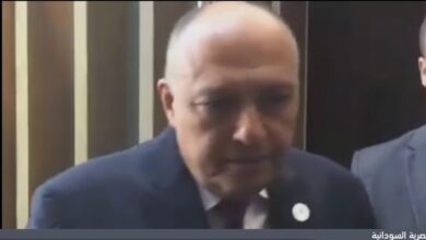 12915430 e1691399797747