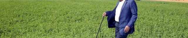 البشير كردفان