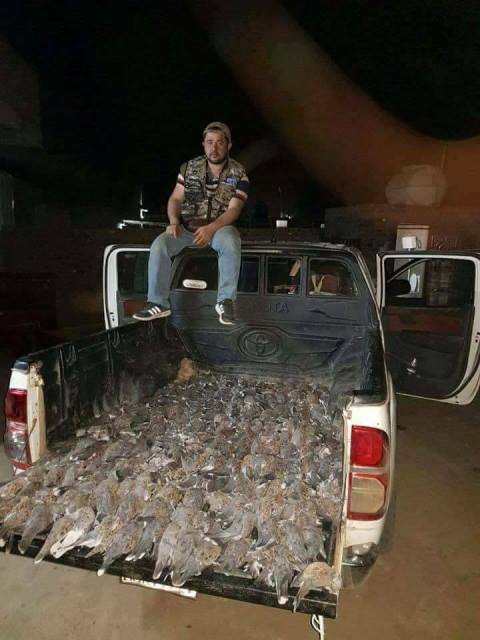 إنتهاك للحياة البرية في السودان من قبل أجانب يثير حفيظة رواد مواقع التواصل.. صور 1 سمان