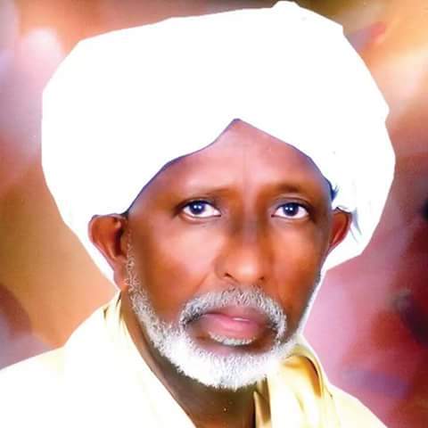 رئيس كُتلة الوطني السابق بالبرلمان: لماذا يكون غندور الضحية ومن تتحمل الخلل قيادة البرلمان 1 عباس الخضر