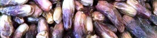 جمعية فلاحة النخيل تقيم معرض تمور رمضان بساحة الحرية 10 بركاوي