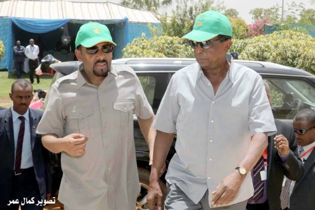 اسامة داؤود