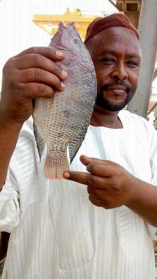 كوش نيوز: شاب سوداني يُفاجأ بإسم الجلالة على ذيل سمكة إصطادها بجبل الأولياء 1 سمكة