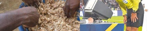 الشعب السوداني يخلد الرئيس الامريكي الذي رحل الاسبوع الماضي ب(فتة البوش) 10 بوش