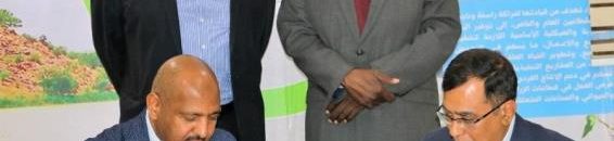 السودان: إنشاء أكبر مجمّع صناعي للحبوب الزيتية بالأبيض 10 مجموعة نفير