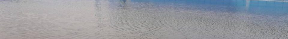 بالفيديو: الهلال السوداني يتساوى مع برشلونة والمغتربون يعبرون عن استيائهم من مجلس إدارته 10 استاد الهلال