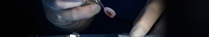 بثوانٍ ودون مفتاح.. طرق يستخدمها الهاكرز لسرقة السيارات 10 سرقة قرنية