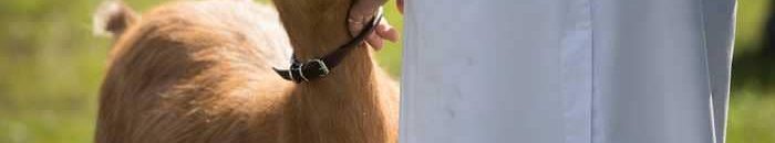 ما هو تأثير لحم البقر على الرجال والراغبين في إنقاص الوزن؟ 10 لحم اطيب