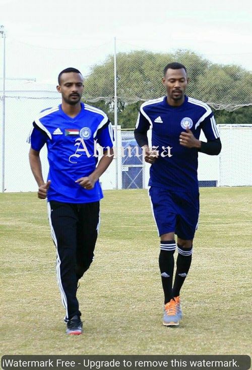 هيثم وكاريكا