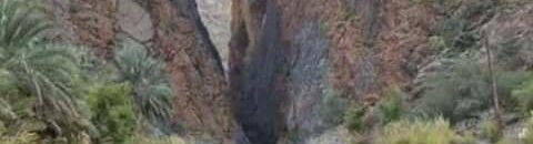 أسرار لا تعرفها عن “ثنية الوداع”.. وكيف أبطل النبي الروايات الكاذبة ومزاعم اليهود حولها؟ 10 ثنية الوداع