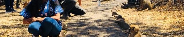 بالصور: قرد يخاف من رفيدة ياسين بعد أن روضت أسداً افريقياً 11 رفيدة ياسين قرد