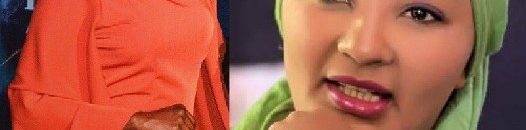 بالفيديو: نجمة سودانية 24 تجري حوار كوميدي مع عاملة اثيوبية 10 سناء البدوي