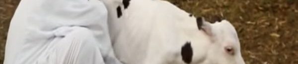 عجلة يتيمة تحول حياة صاحبها السوداني من رجل بسيط لمليونير