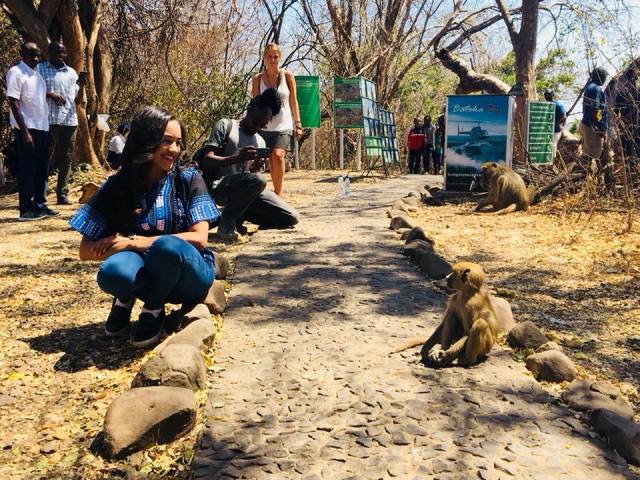 بالصور: قرد يخاف من رفيدة ياسين بعد أن روضت أسداً افريقياً 1 رفيدة ياسين قرد