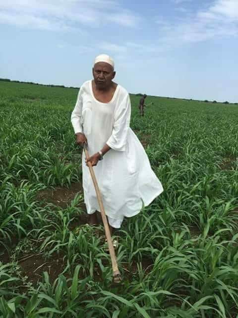 عبد الرسول النور