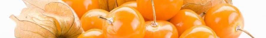 "تعديل ثوري" على الحرنكش .. والسر في الجينات 10 حرنكش