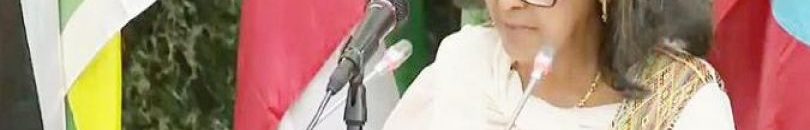 زودي - سهلى زودي