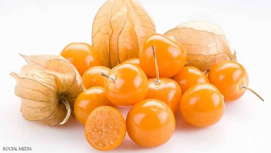 "تعديل ثوري" على الحرنكش .. والسر في الجينات 1 حرنكش