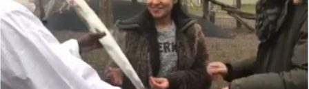 الوزير جادين