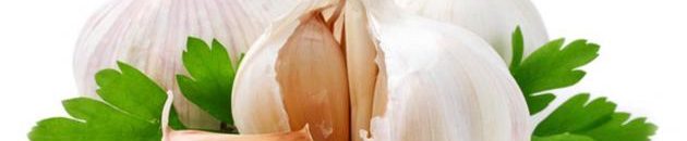 فوائد أكل الثوم على الريق