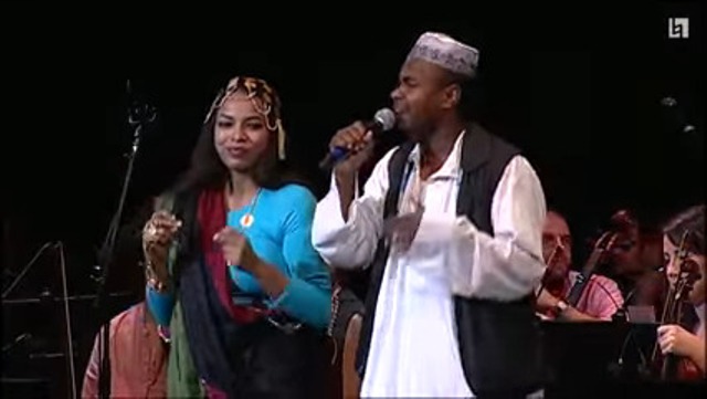 بالفيديو: عازفة كمان أجنبية تنفعل مع أغنية من تراث البجا في مهرجان عالمي وتلفت أنظار رواد مواقع التواصل 1 محمد طاهر