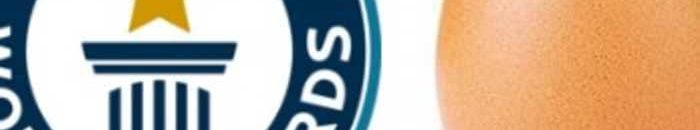 موسوعة غينيس "تهنئ" البيضة صاحبة الرقم القياسي 10 بيضة