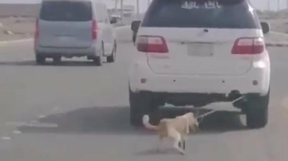 58d04184 8979 4427 b38f